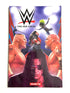 WWE Volume 1 Then Now Forever Boom TPB Paperback Comic Books